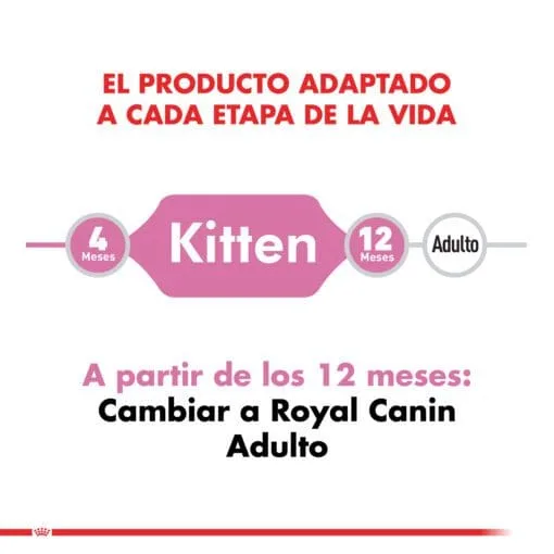 Royal Canin Gatito Kitten Pouch 85gr ( Humedo ) - Imagen 4