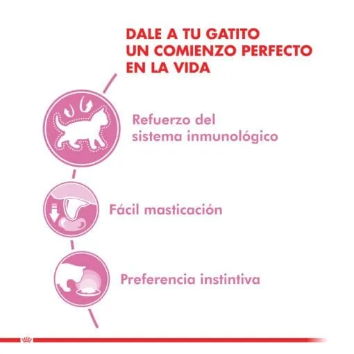 Royal Canin Gatito Kitten Pouch 85gr ( Humedo ) - Imagen 5