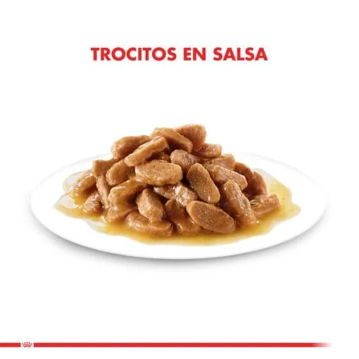 Royal Canin Gatito Kitten Pouch 85gr ( Humedo ) - Imagen 6