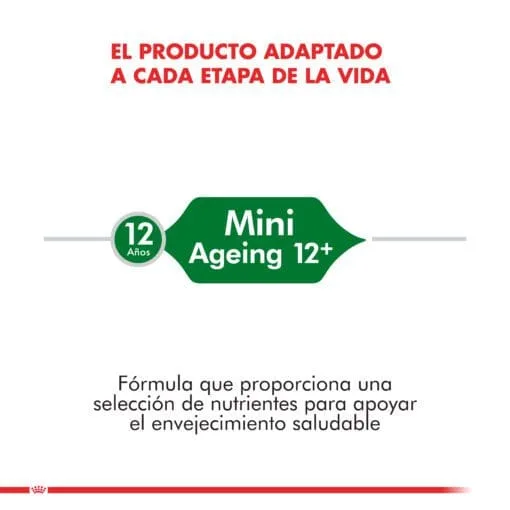 Royal Canin Perro Senior Mini Ageing 12+ 3Kg  ( Seco ) - Imagen 4