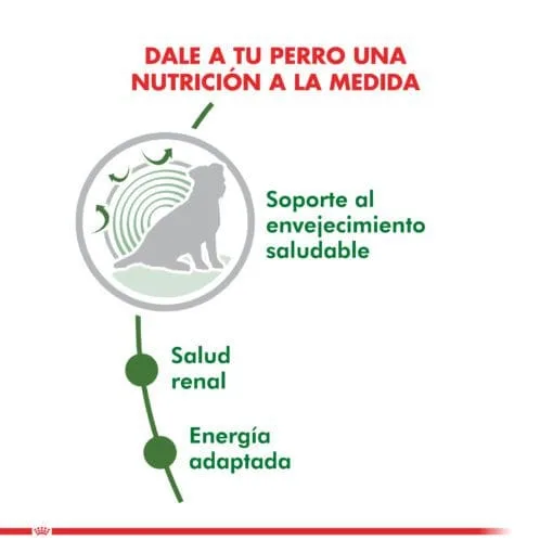 Royal Canin Perro Senior Mini Ageing 12+ 3Kg  ( Seco ) - Imagen 3