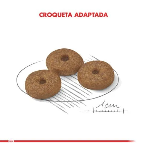 Royal Canin Perro Senior Mini Ageing 12+ 3Kg  ( Seco ) - Imagen 5
