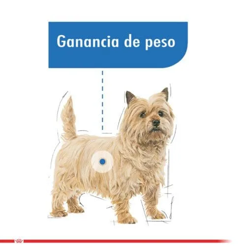 Royal Canin Adulto Mini Light 2.5 Kg  ( Seco ) - Imagen 3