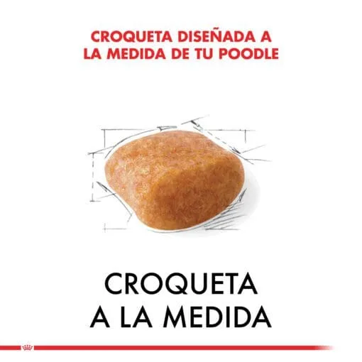 Royal Canin Perro Poodle Adulto 3Kg  ( Seco ) - Imagen 5