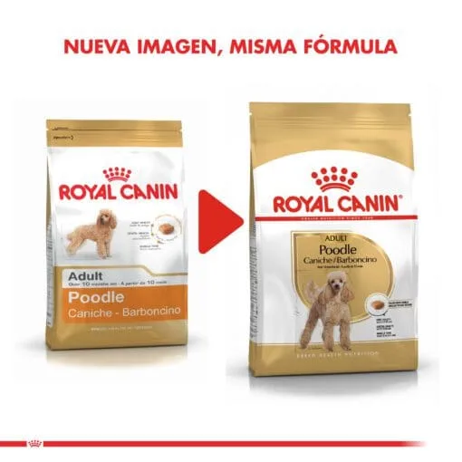Royal Canin Perro Poodle Adulto 3Kg  ( Seco ) - Imagen 2