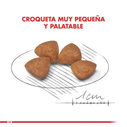 Royal Canin Cachorro X-Small Puppy 2.5Kg  ( Seco ) - Imagen 5