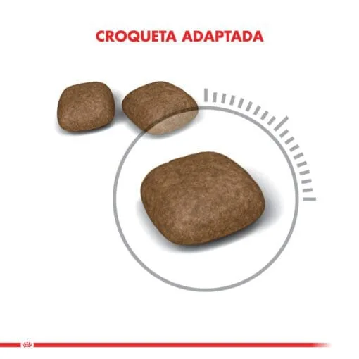Royal Canin Gato Adulto Urinary Care 1.5Kg  ( Seco ) - Imagen 5