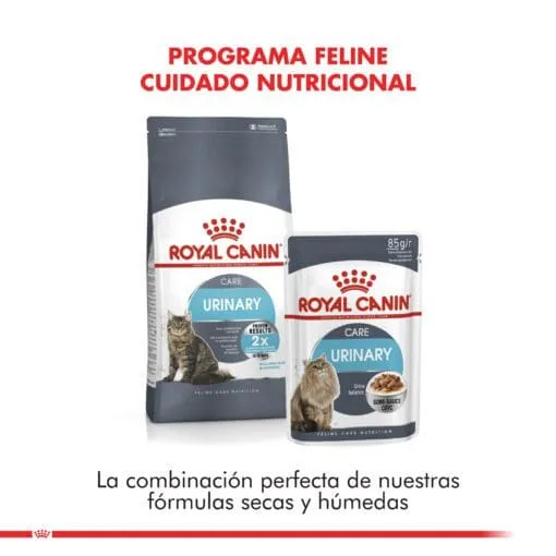 Royal Canin Gato Adulto Urinary Care 1.5Kg  ( Seco ) - Imagen 4