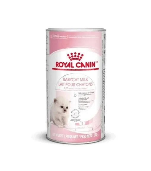 Royal Canin Gatito Baby Cat Milk 0.3Kg  ( Seco )