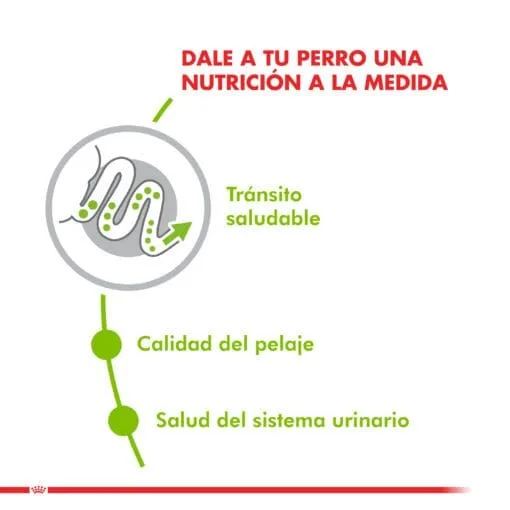 Royal Canin  Perro X-Small Adulto 1Kg  ( Seco ) - Imagen 3