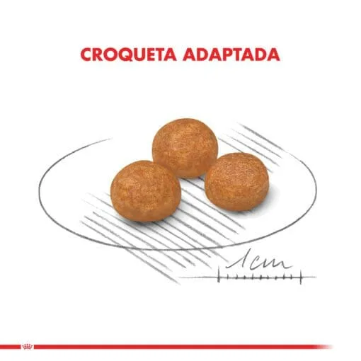 Royal Canin  Perro X-Small Adulto 1Kg  ( Seco ) - Imagen 5