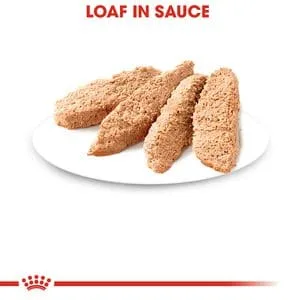 Royal Canin Gatito Kitten Chaton Lata 145gr ( Humedo ) - Imagen 5