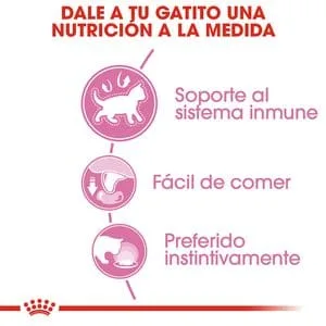 Royal Canin Gatito Kitten Chaton Lata 145gr ( Humedo ) - Imagen 4