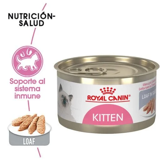 Royal Canin Gatito Kitten Chaton Lata 145gr ( Humedo )