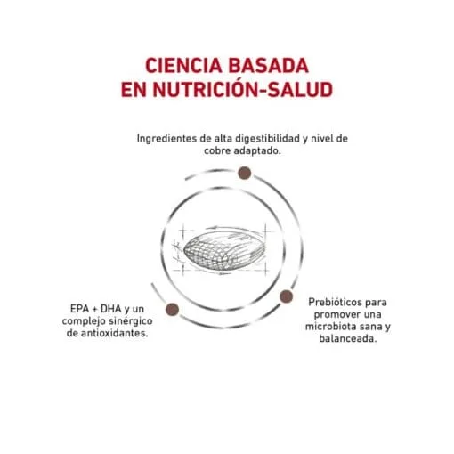 Royal Canin Perro Adulto Hepatic Canine 1.5Kg  ( Seco ) - Imagen 3