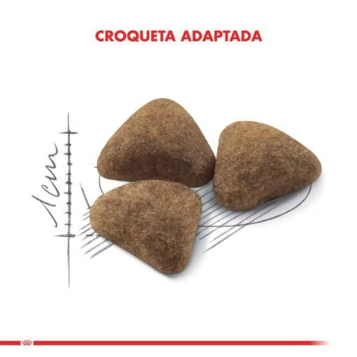 Royal Canin Gato Adulto Indoor Feline 1.5Kg  ( Seco ) - Imagen 4
